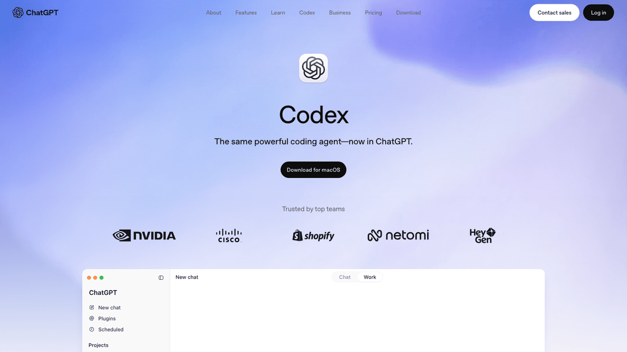 OpenAI Codex screenshot